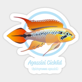 Agassizi Cichlid Sticker